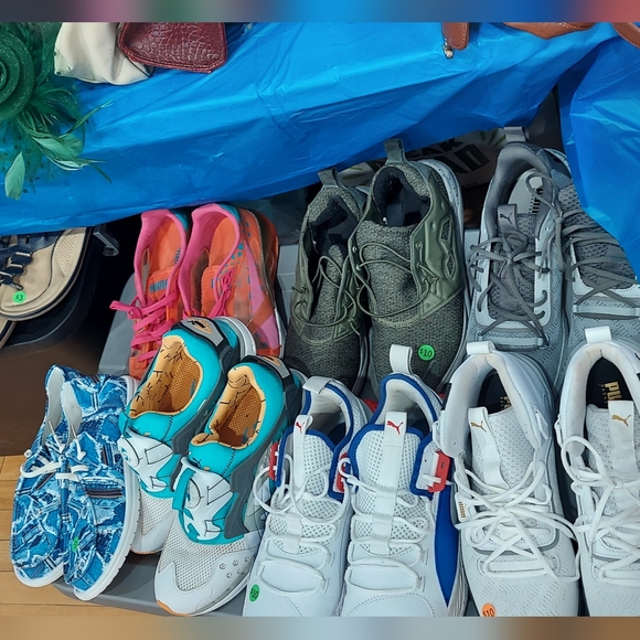 Meet your Posher, Sophia - Picture 2 of 5